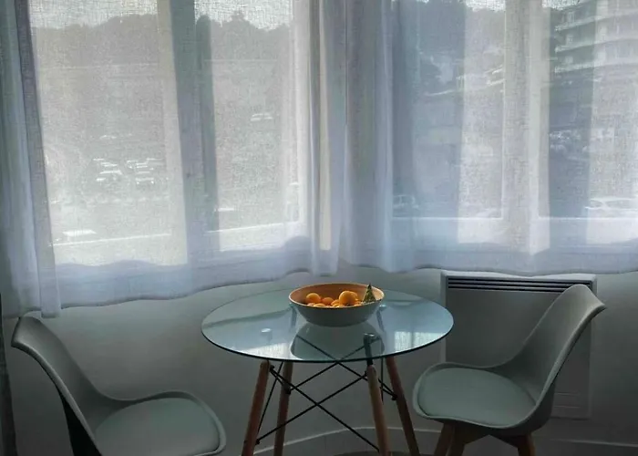 شقة Nice Chateauneuf, Studio Renove Avec Emplacement Central